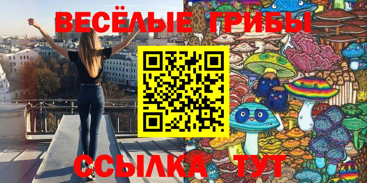Псилоцибиновые грибы Psilocybine cubensis  Галлюциногенные грибы GOLDEN TEACHER  Вход с VPN  Канск 